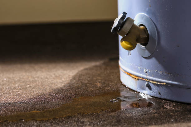 Best Water damage contractors near me  in Cayuga, IN