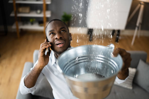 Best Flood restoration services  in Cayuga, IN