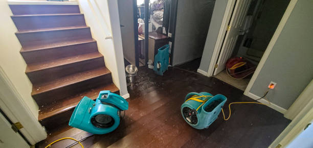 Cayuga, IN Water damage restoration Company