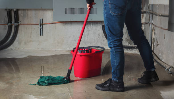 Best Flooded house restoration  in Cayuga, IN