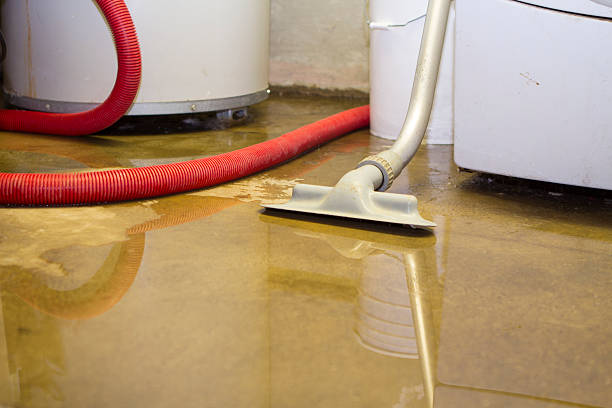Best Commercial water damage restoration  in Cayuga, IN