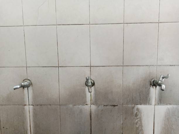 Cayuga, IN Water damage restoration Pros