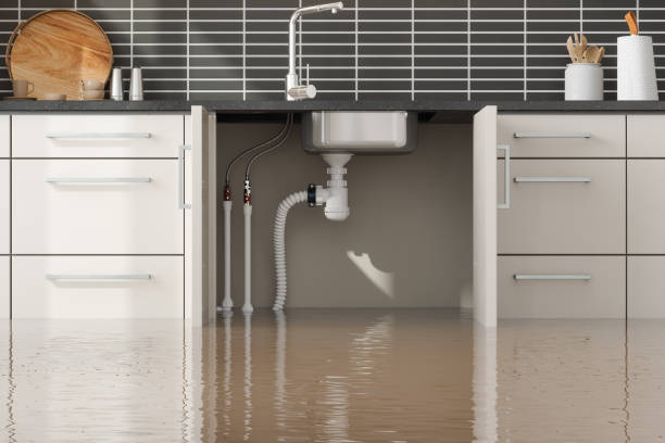 Best 24/7 water damage repair  in Cayuga, IN